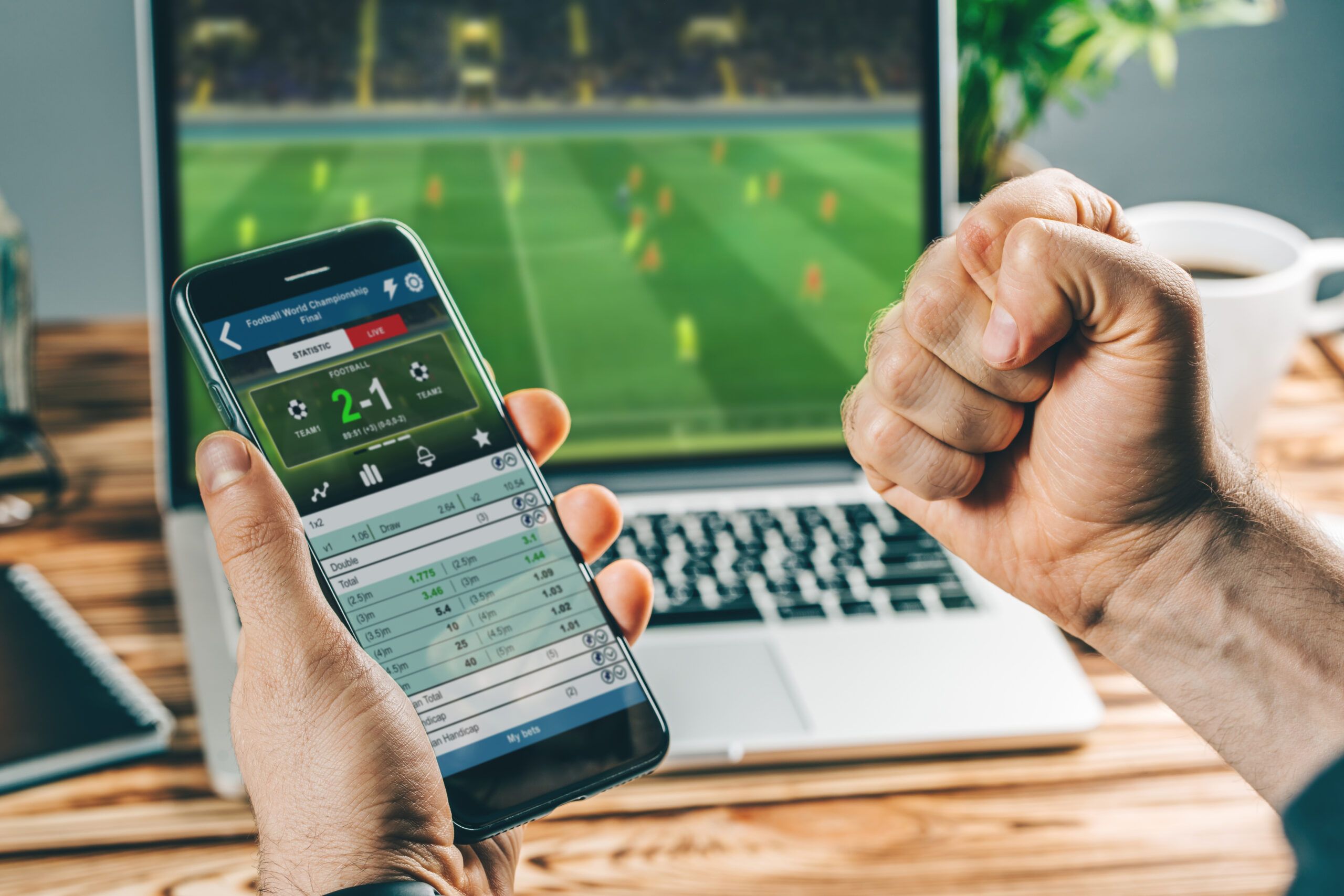 Stadium atmosphere for sports wagering guides